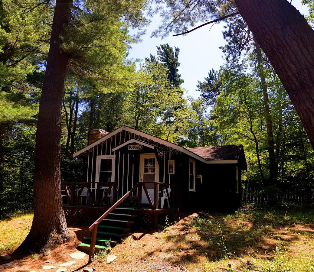 The Wilderness Inn: Chalets Wilmington Εξωτερικό φωτογραφία